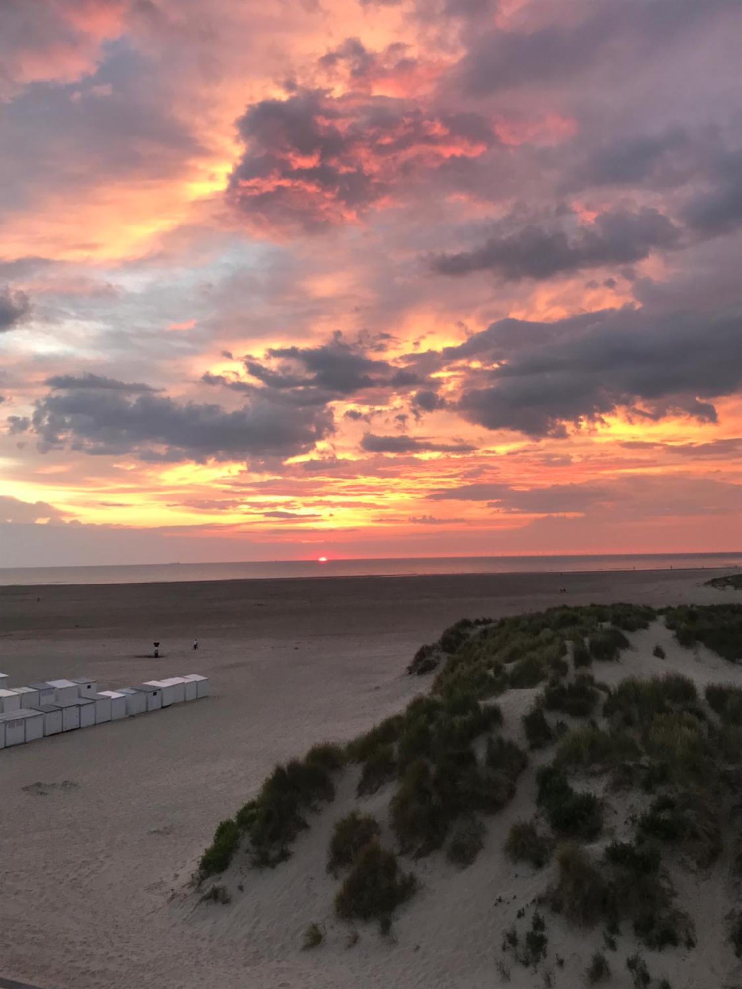 Dune Du Palace Μπριζ Εξωτερικό φωτογραφία